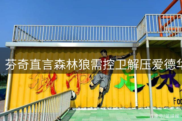 芬奇直言森林狼需控卫解压爱德华兹 三球成最佳人选