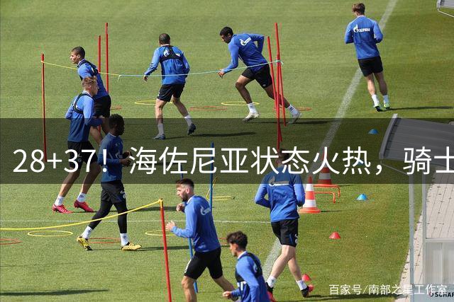 28+37！海佐尼亚状态火热，骑士迎新锋线猛将